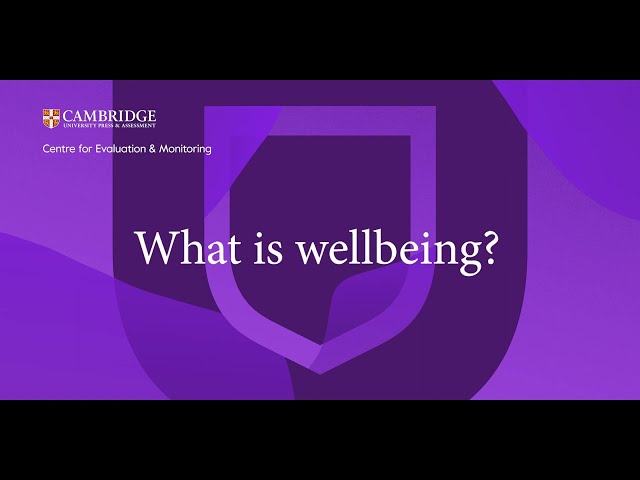 What is wellbeing?