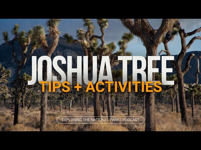 54: Exploring Joshua Tree -- Best Hikes, Viewpoints, and Drives