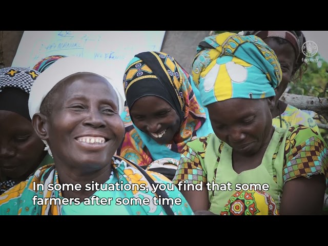 Institutionalizing Farmer Field School methodologies in the Universities Curricula in Eastern Africa