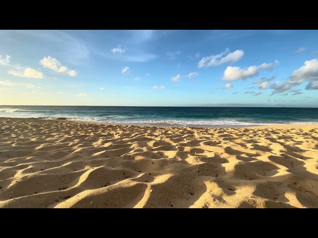 Hawaii waves breaking on sandy shoreline. Where's Your Beach