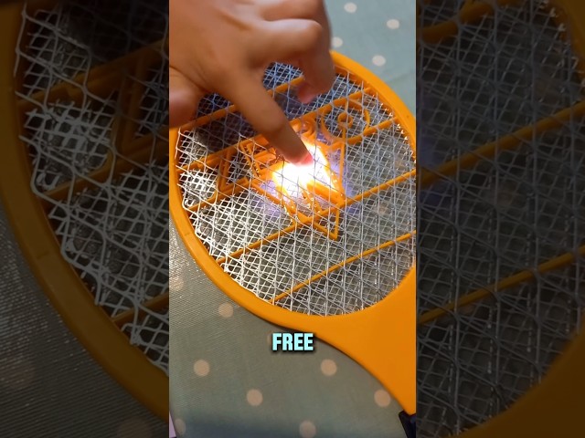 How An Electric Fly Swatter Works