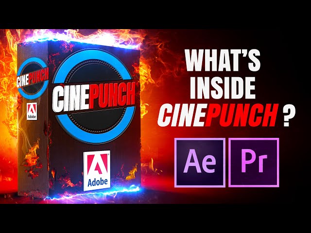 What's Inside CINEPUNCH for Premiere Pro?