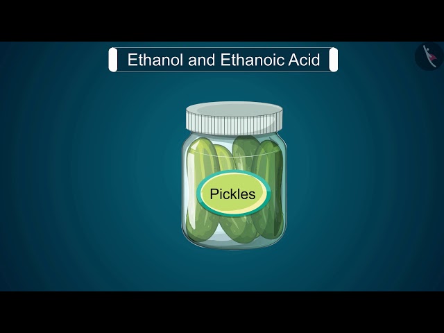 Ethanol and Ethanoic Acid | Part 1/1 | English | Class 10