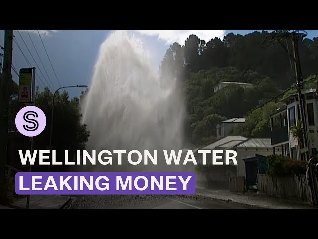 Investigation underway after report finds Wellington Water overpaying contractors | Stuff.co.nz