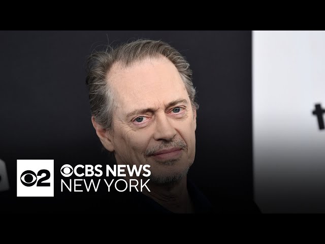 Actor Steve Buscemi randomly punched in Manhattan