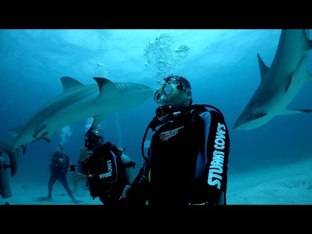 Scariest shark dive at Bahamas 🇧🇸 🦈