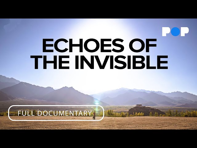 Echoes of the Invisible | Full Documentary