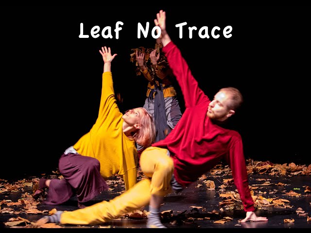 Leaf No Trace - A 3D VR180 Immersive Dance Performance