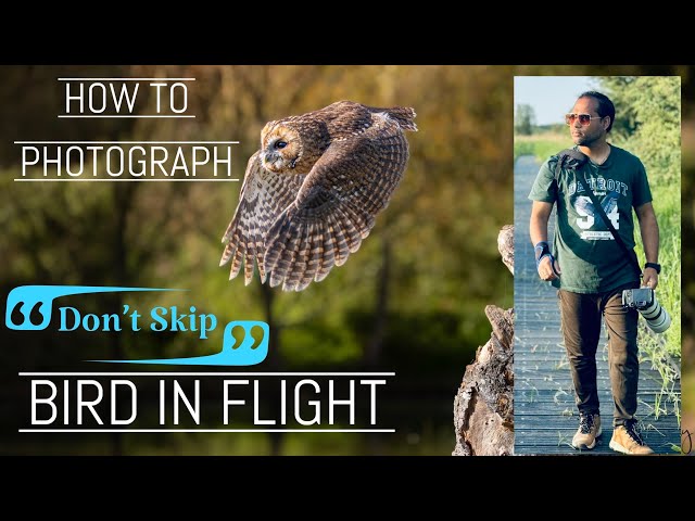 Take Sharp Bird in flight photo every time | Canon R7  RF100-500mm setup #birds #nature #wildlife