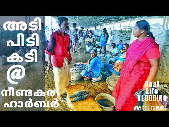 #HarborWomen #NeendakaraHarbour #FishingBoat #KollamFishingHarbour #Fish Way Of Life Malayalam Vlogs