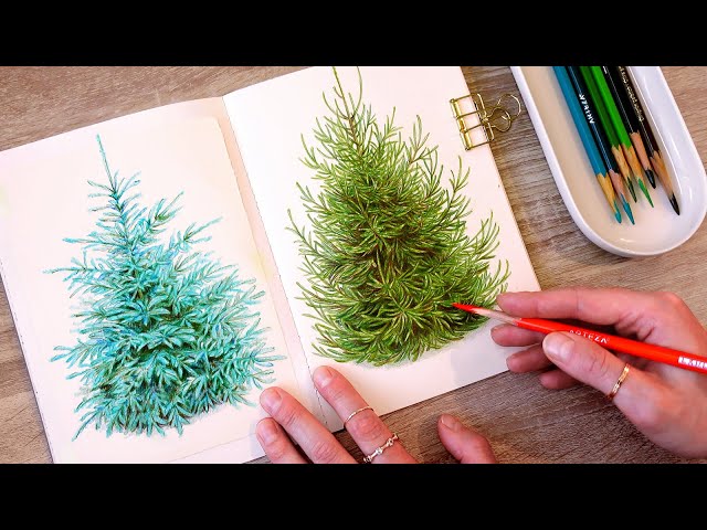 drawing spruce trees with colored pencils 🌲 / no music