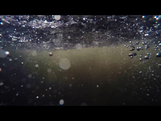 Dernier plongeon de l'été au pont de Maury