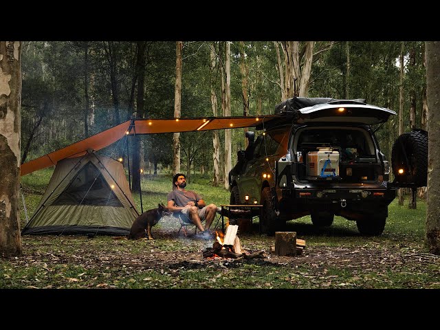 SOLO Camping with my Dog [Nature ASMR, Relaxing & Unwinding in our Cozy Awning & Tent,]