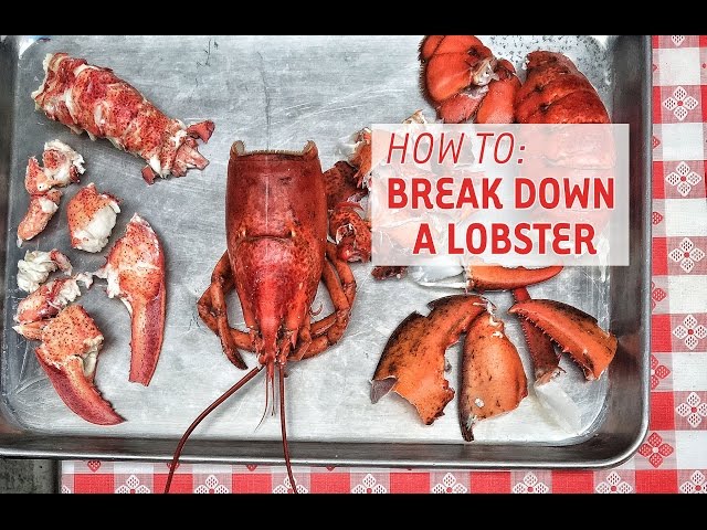 How To Break Down & Eat A Lobster