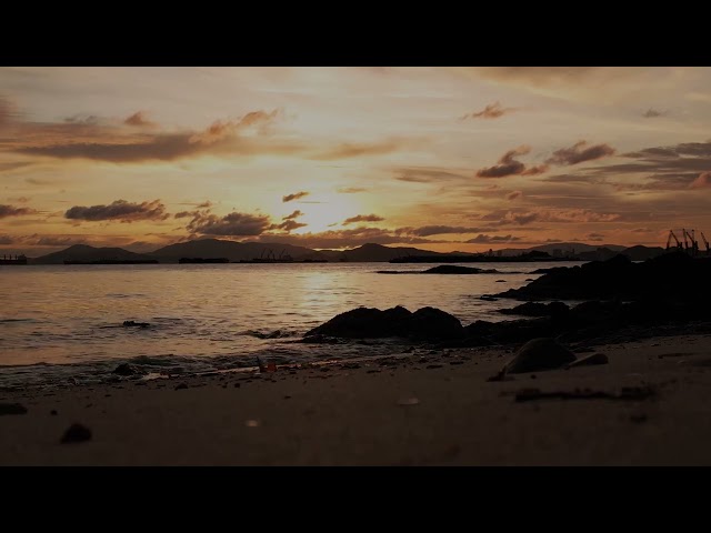 Cricket and ocean waves sounds at the beach, perfect nature sounds ambience.