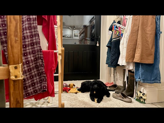 Early Morning Laundry Routine & Puppy Training | Clean With Kate