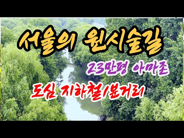 서울에서 만나는 23만 평 원시림 숲길 | 한국 최초의 생태공원 | 도심 산책 | 대중교통 당일치기 여행 | 지하철 여행 | 트레킹 코스 | 맨발 걷기 최고입니다