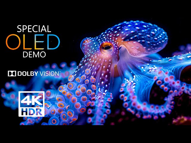 Special OLED 4K HDR 60 fps Dolby Vision - (4K Video) ULTRA HD