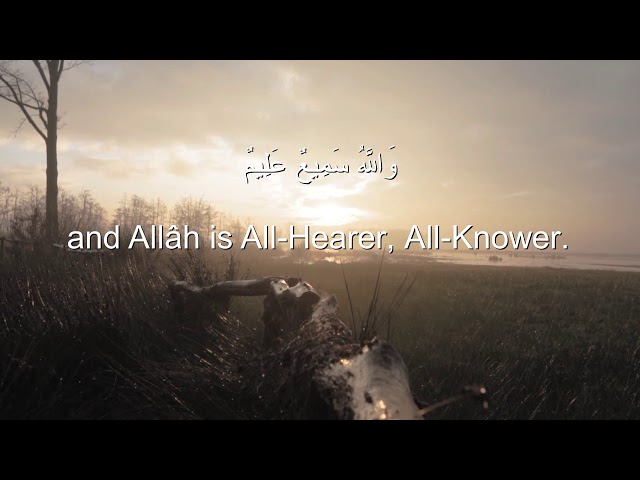 Ahmad Khedr  sûrah An-Nur beautiful Heart❤️melts Soothing Recitation. سورة النور