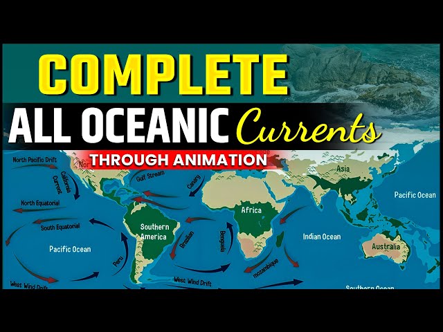 All Warm and Cold Currents in one Video Through Animation ! | Geography | UPSC 2024 | OnlyIAS