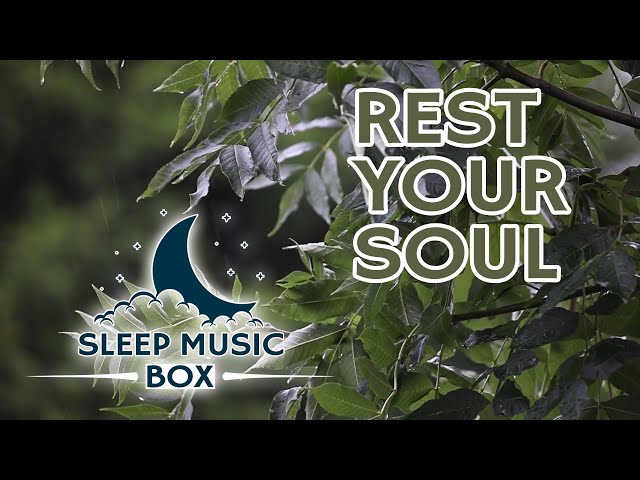 Rain Clip and Healing Music | Healing Frequency | Sleep Music | Meditation | Rain | Asmr | Ambience