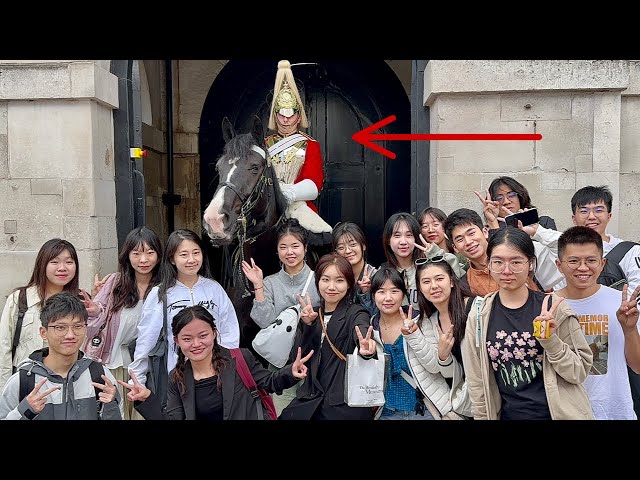 "King's Guard Horse Fed Up with Too Many Tourists"