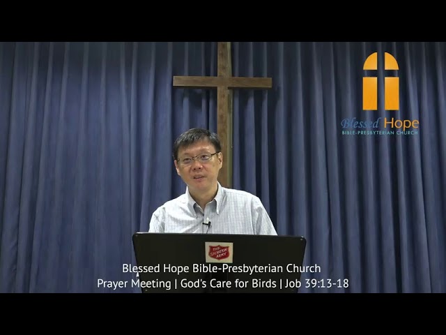 Blessed Hope Bible-Presbyterian Church Live Stream