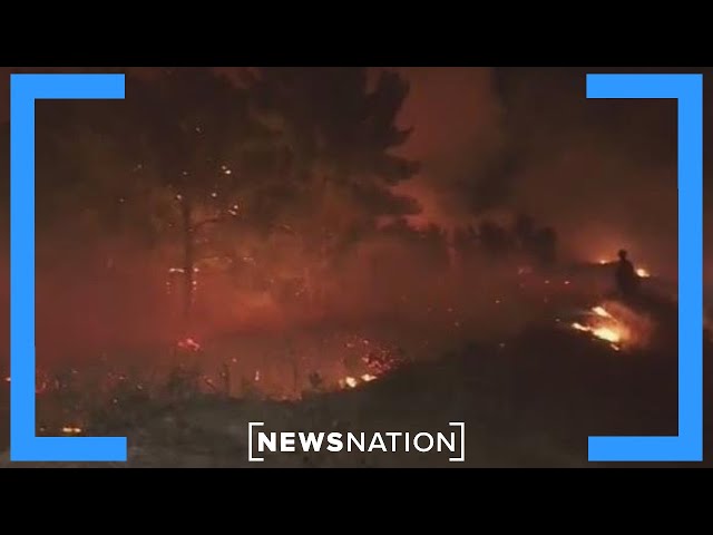 Hughes fire ‘faster than Palisades and Eaton fire’: Reporter | Dan Abrams Live