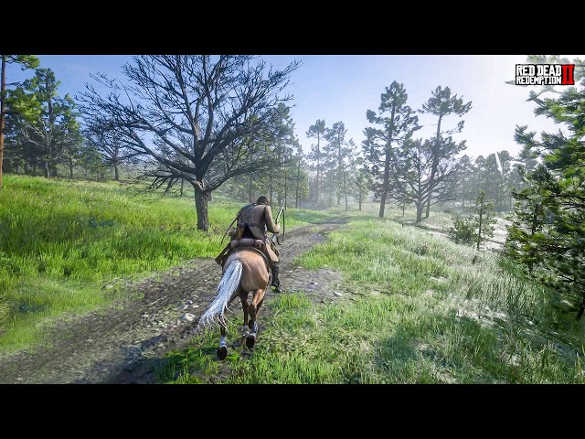 Red Dead Redemption 2 Gameplay PC ▸ Part 9 | No Commentary | No Copyright Gameplay 4K 60fps