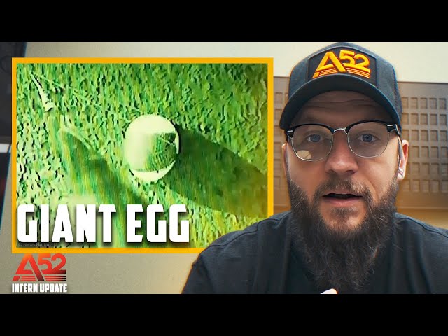 My Thoughts on The "EGG" UAP