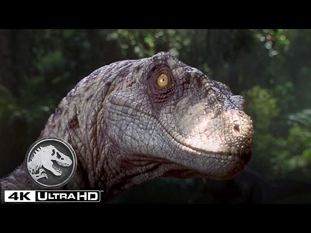 Las mejores escenas del Velociraptor en 4K HDR | Jurassic World