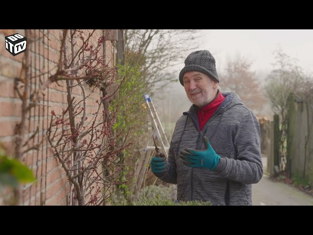 De tuin op orde | Mijn tuin