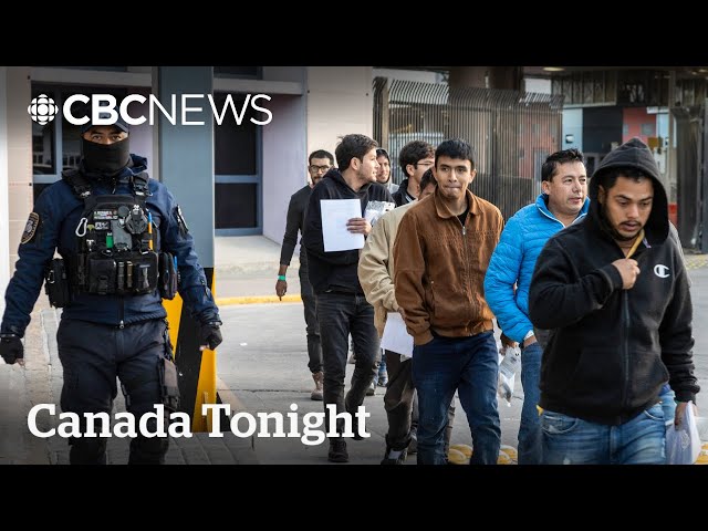 Trump’s immigration plan will further strain resources: former official | Canada Tonight