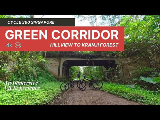 The Green Corridor, Singapore - Hillview to Kranji Forest | Rail | VR CYCLE 360 | Workout