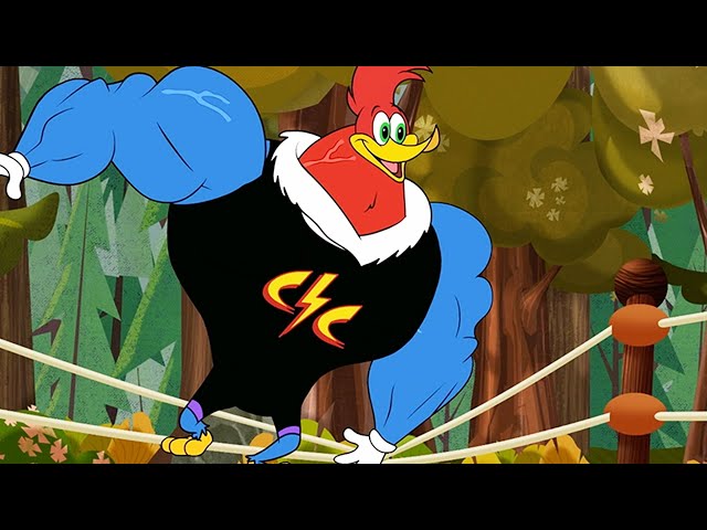 El Pájaro Loco 💥 El Luchador 💥 NUEVOS EPISODIOS