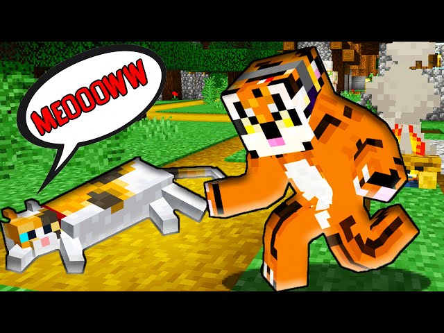 Am adoptat o pisica pe MineCity! Ce nume ii dam?