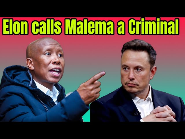 Julius Malema vs Elon Musk: You must be declared an International Criminal.