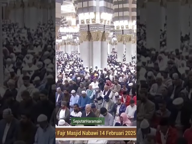 Live Fajr Sheikh Quraafi Masjid Nabawi 14Feb25 #nabawi #shortvideo #madina #1minutevideo #million