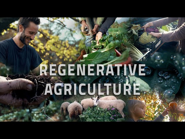 What is Regenerative Agriculture?