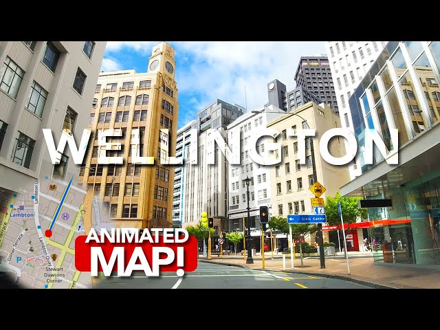 Driving Through Wellington, New Zealand 🚗 | Explore the City with a Live Animated Map!