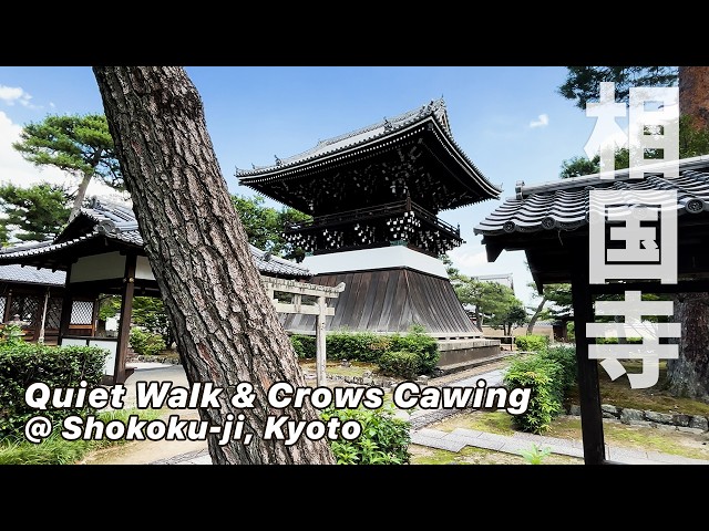 [CC:EN] Shokokuji @ Kyoto - A Quiet Walk on a Beautiful Day with Crows Cawing | Silent Travel Vlog