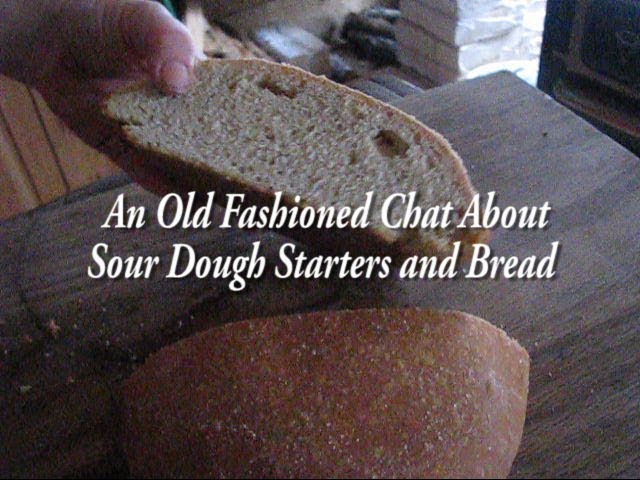 Sour Dough Starter Basics: What I've Learned, an indepth (slightly too long) conversation