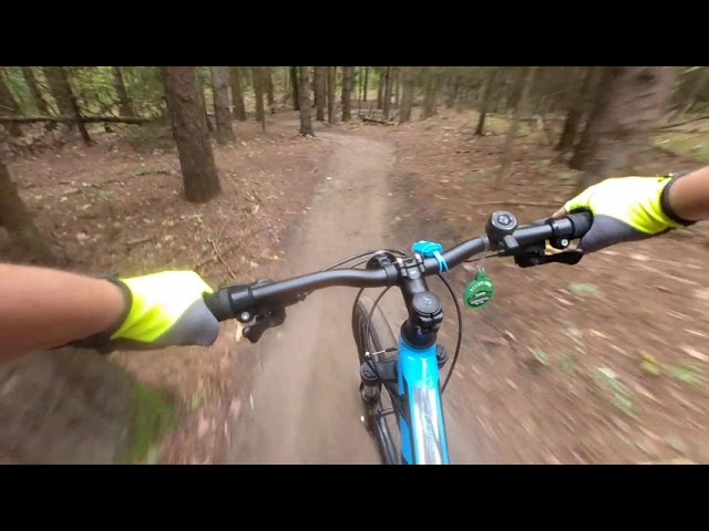 VR180 Durham Forest - Missing Link