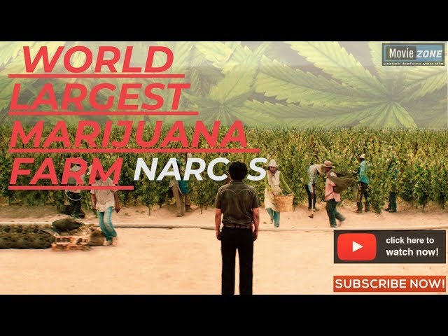 #NARCOS  world largest marijuana farm