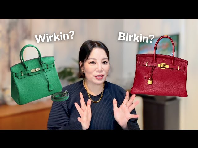 Walmart Birkin or Hermes Birkin | My View | Sharing My Hermes Journey | Sanecyndy