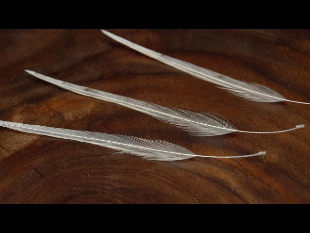 Hackle Feather Tie in, 3 Ways