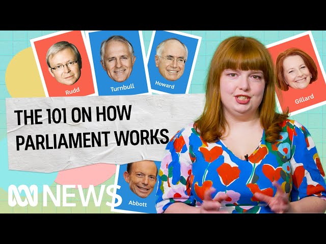 The 101 on how parliament works | Politics Explained (Easily) | ABC News