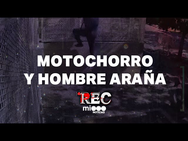 MOTOCHORRO Y HOMBRE ARAÑA - LOS ROMPE REJAS - #REC