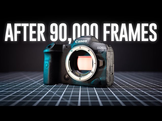 Canon R5 Review After 90,000 Frames | Should You Buy In 2024?