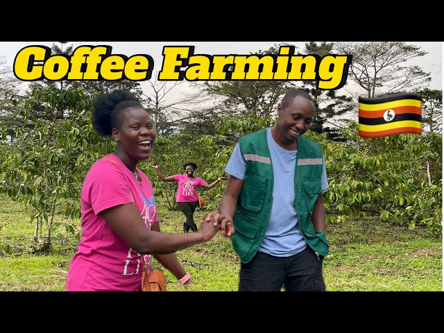 The Untold Truth of Coffee Farming in Uganda